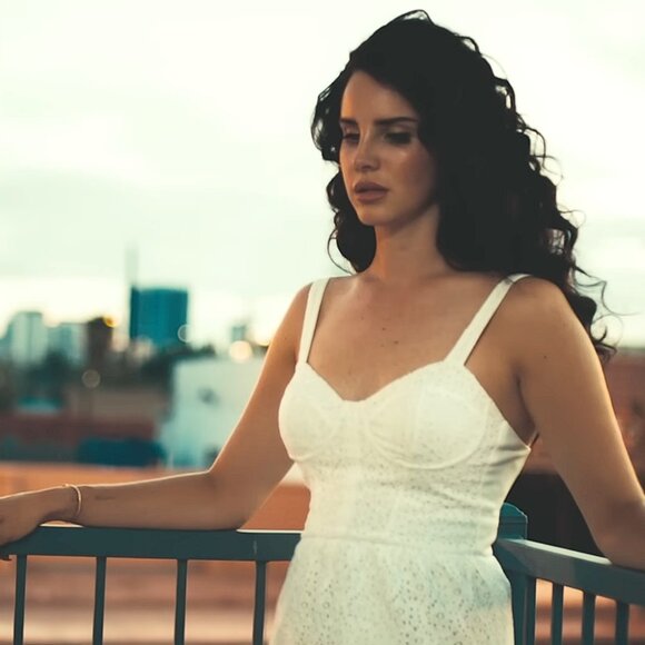 Topshop Lace Corset Flippy Tunic Dress ASO Lana Del Rey & Demi Lovato - Picture 8 of 9